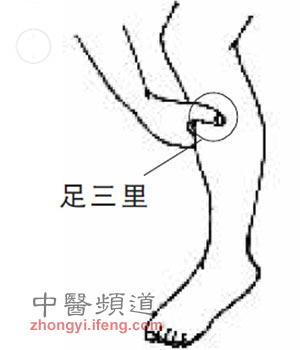 足三里為長壽穴有6大神效 年過三十應常灸